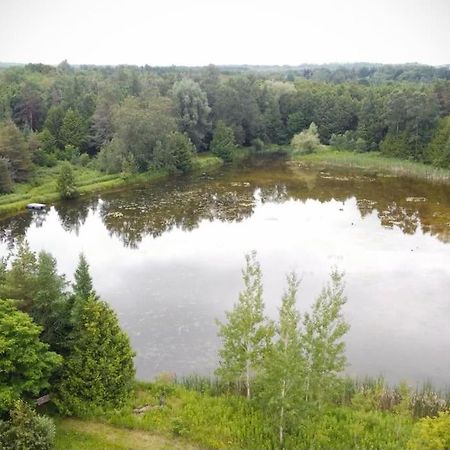 Cottage Retreat On 11 Acres Flesherton Bagian luar foto