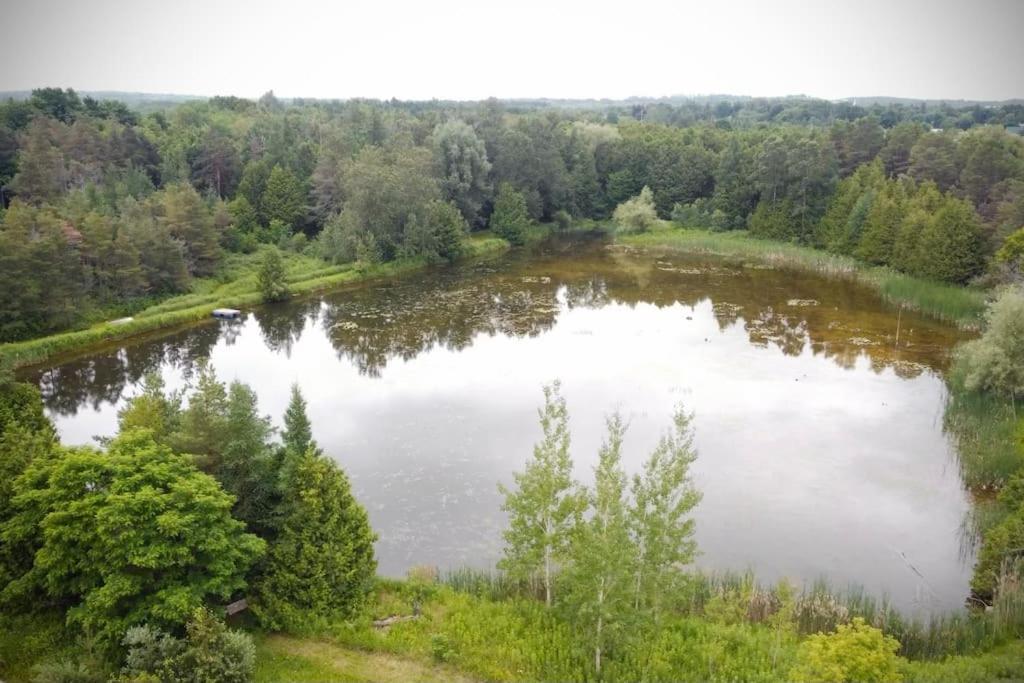 Cottage Retreat On 11 Acres Flesherton Bagian luar foto