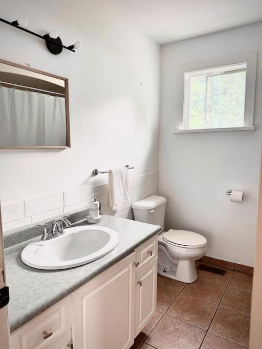 Cottage Retreat On 11 Acres Flesherton Bagian luar foto