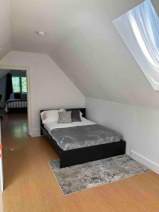 Cottage Retreat On 11 Acres Flesherton Bagian luar foto