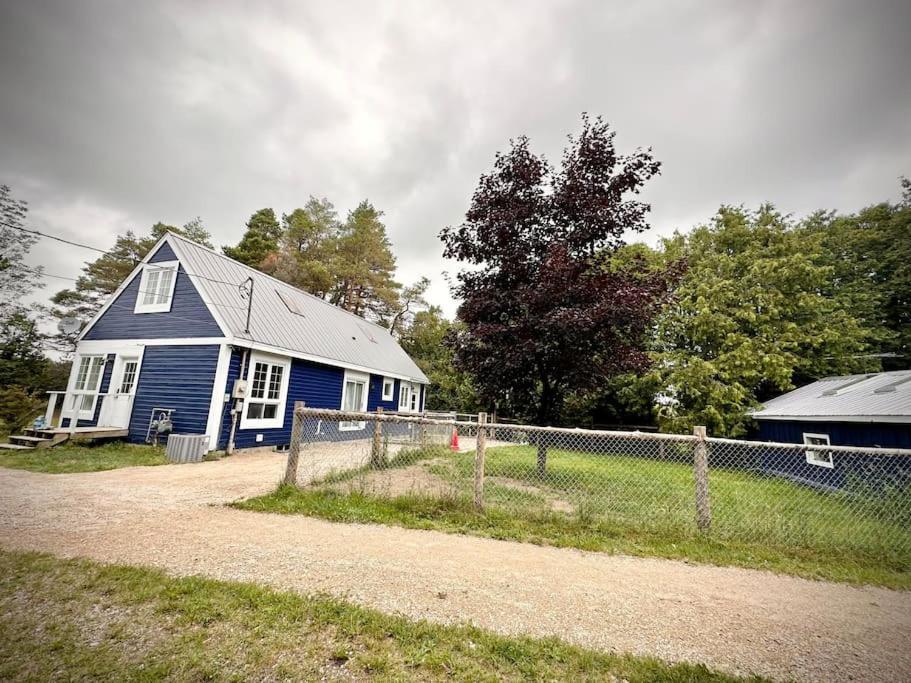 Cottage Retreat On 11 Acres Flesherton Bagian luar foto